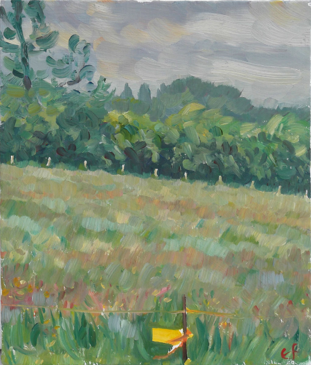 landscape with electric fence