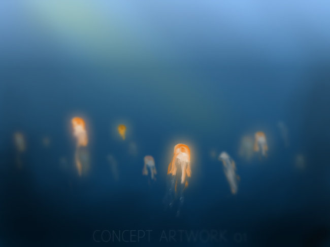 Jelly Fish