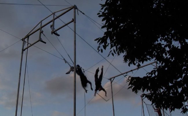 Flying